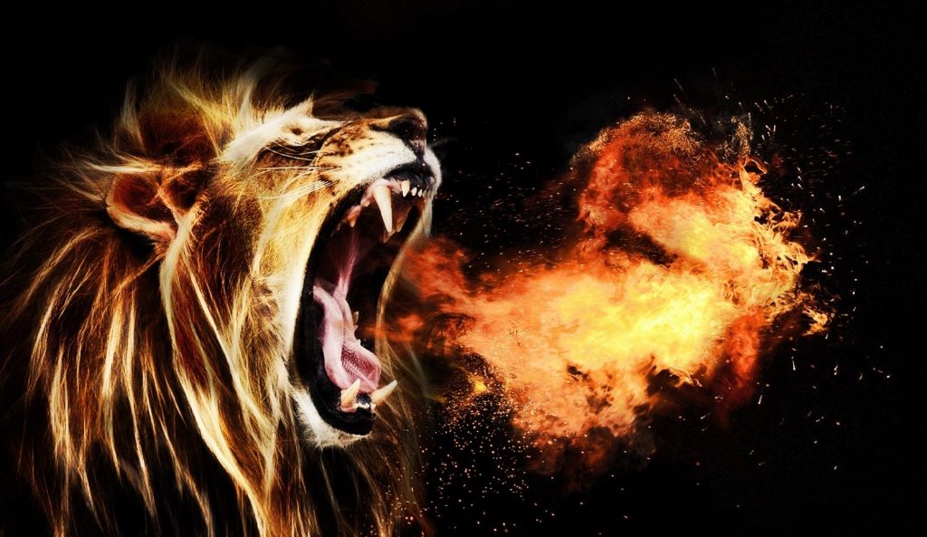 Lion roaring