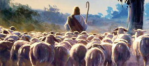 "My people have been lost sheep. Their shepherds have caused them to go astray." Jer 50:6