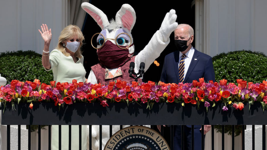 The March Hare in Washington DC